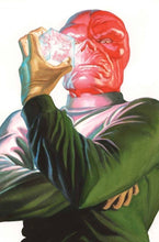 Load image into Gallery viewer, BUNDLE: Alex Ross Timeless Villain Virgin Variants
