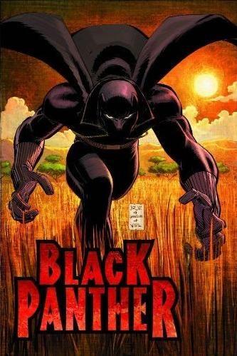 Black Panther: Who Is The Black Panther? HC / TP #1
