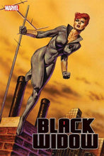Load image into Gallery viewer, Black Widow, Vol. 9 #12
